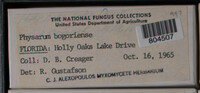 Image Associated With the Occurence